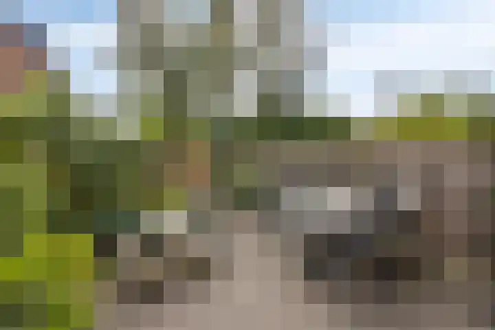 De Vennen 14 Broek in Waterland thumbnail 5