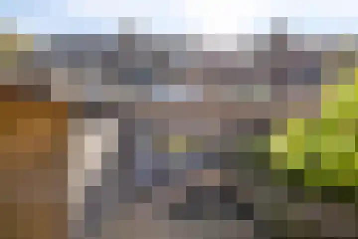 De Vennen 14 Broek in Waterland thumbnail 6