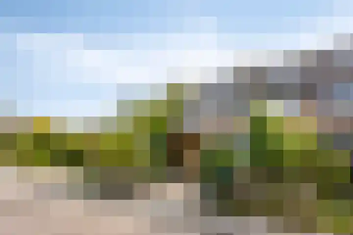 De Vennen 14 Broek in Waterland thumbnail 7
