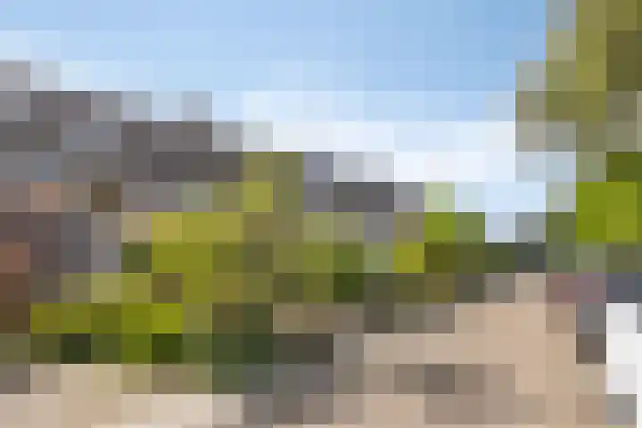De Vennen 14 Broek in Waterland thumbnail 8