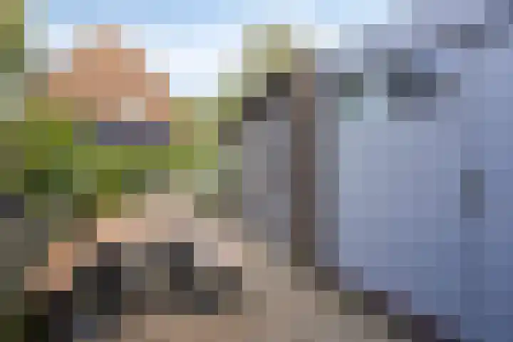 De Vennen 14 Broek in Waterland thumbnail 9