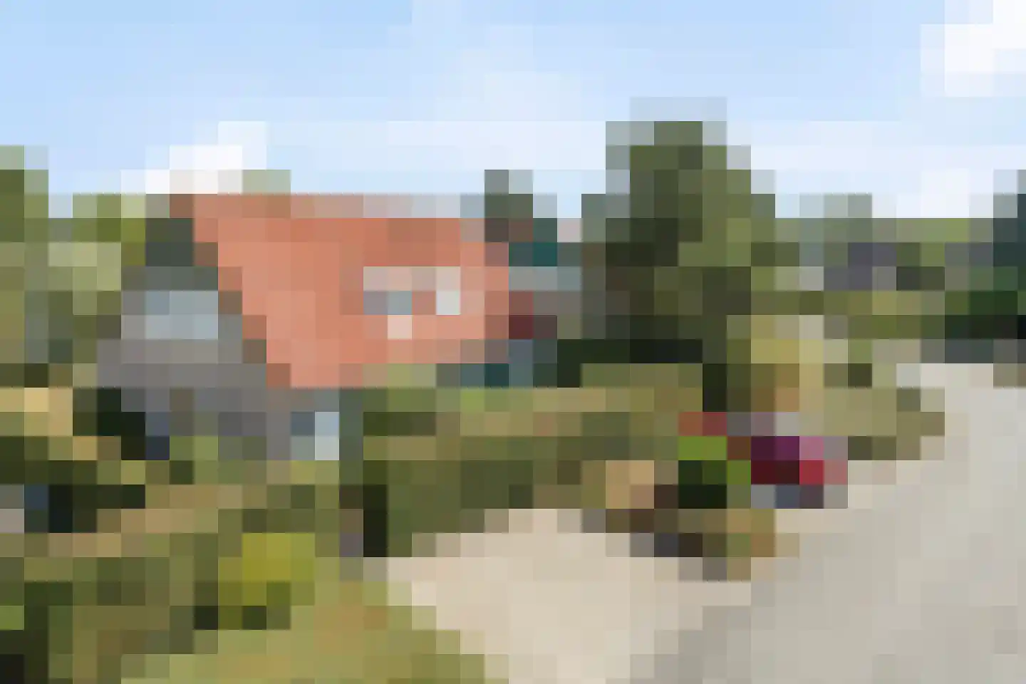De Vennen 147 Vlagtwedde foto 2