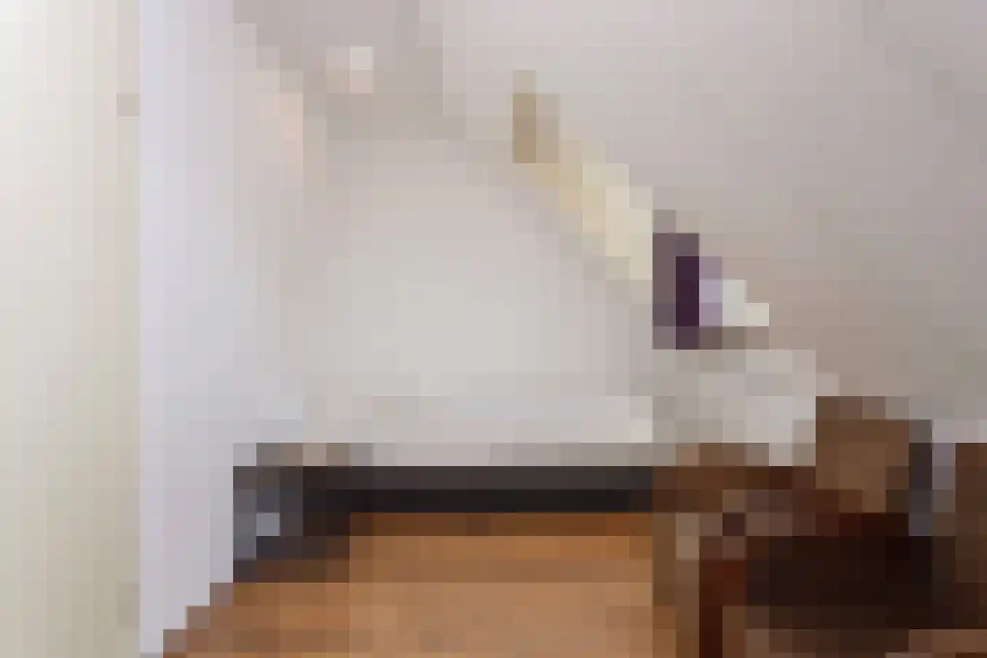 De Vennen 147 Vlagtwedde thumbnail 23