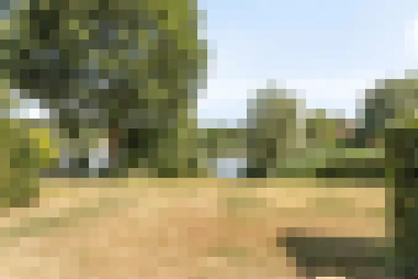 De Vennen 147 Vlagtwedde thumbnail 28