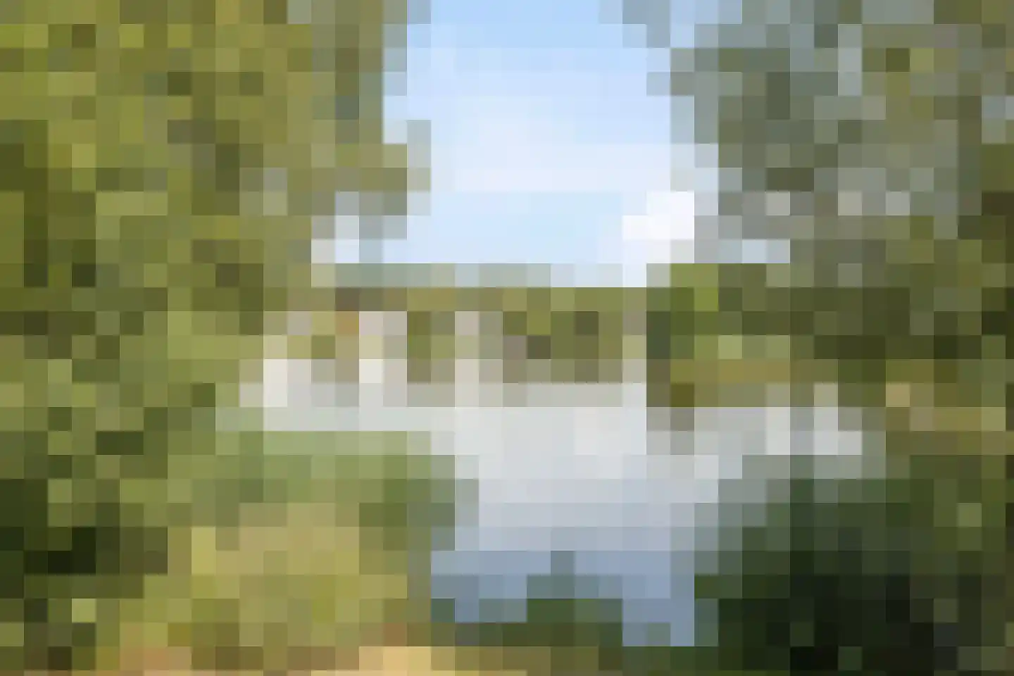 De Vennen 147 Vlagtwedde foto 3
