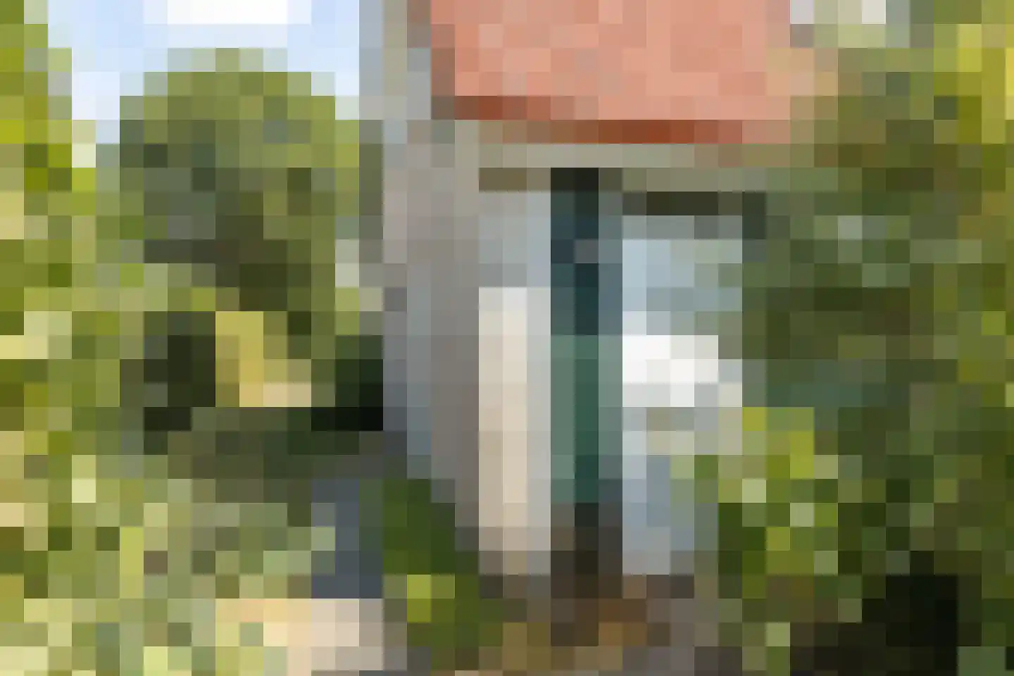 De Vennen 147 Vlagtwedde thumbnail 32