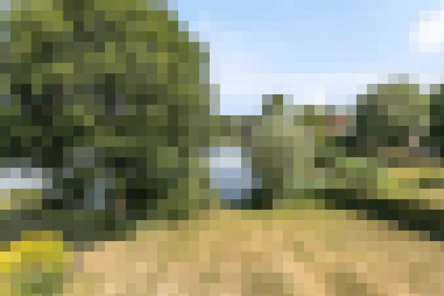 De Vennen 147 Vlagtwedde thumbnail 4