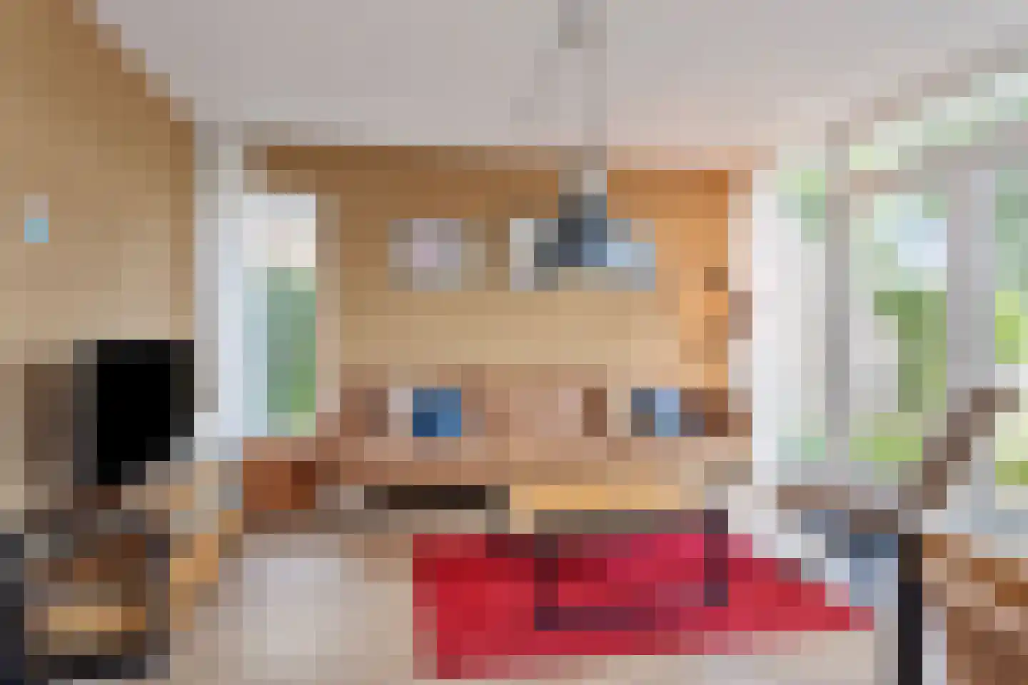 De Vennen 147 Vlagtwedde thumbnail 6