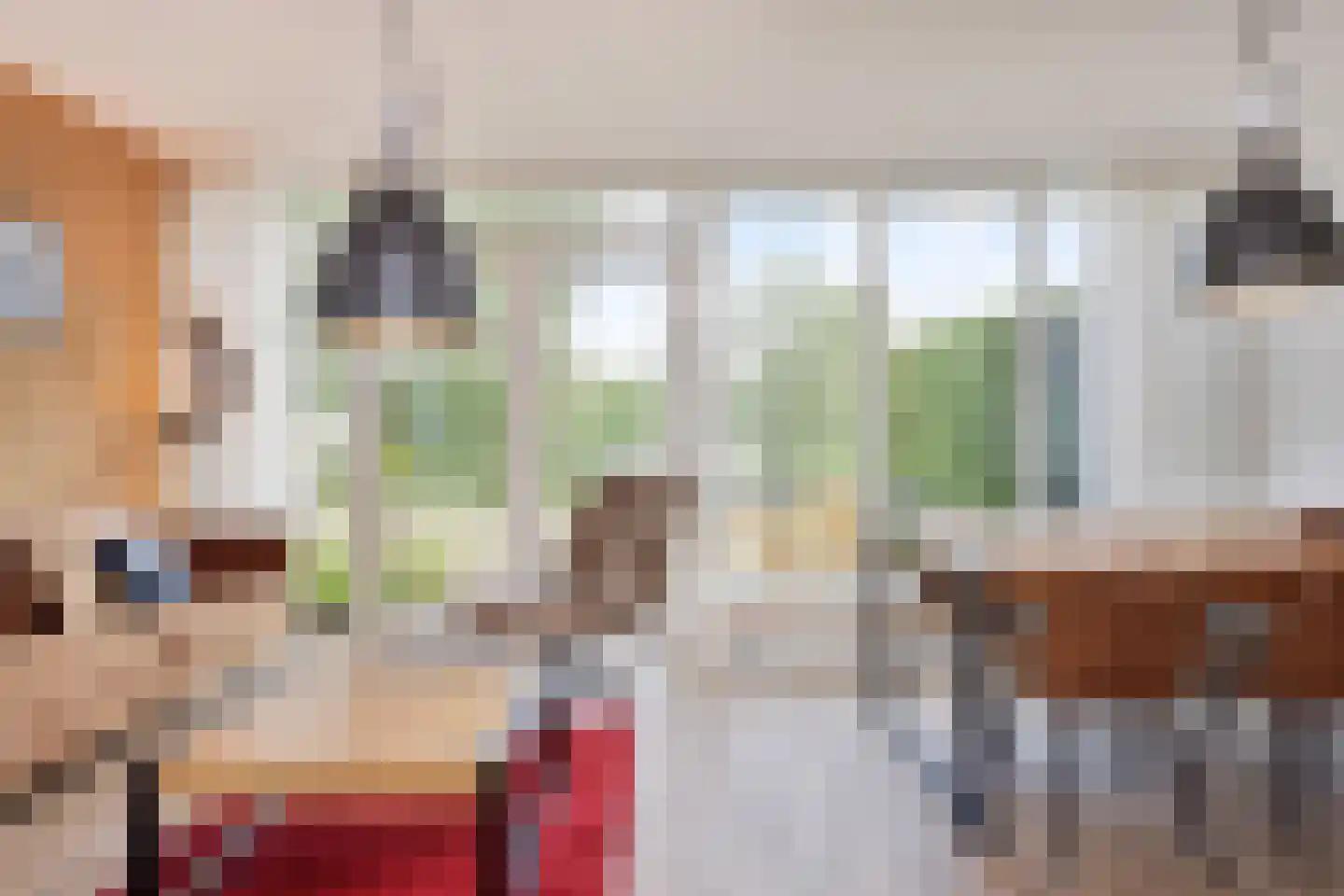 De Vennen 147 Vlagtwedde thumbnail 7