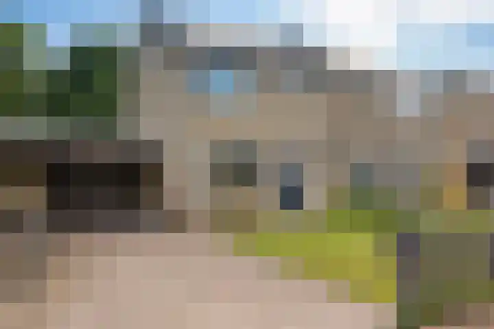 De Vennen 16 en Eenrum