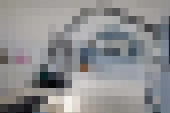 De Vennen 16 Eenrum thumbnail 36