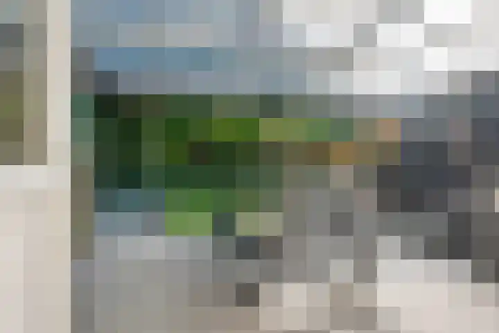 De Vennen 16 Eenrum thumbnail 37