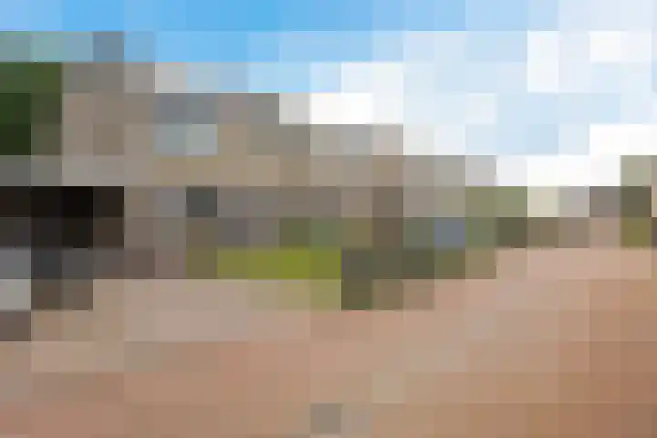 De Vennen 16 Eenrum thumbnail 5