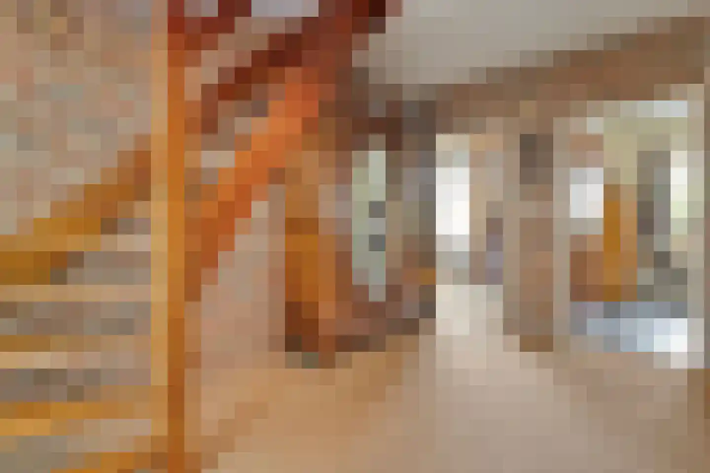 De Vennen 16 Zuidwolde thumbnail 11