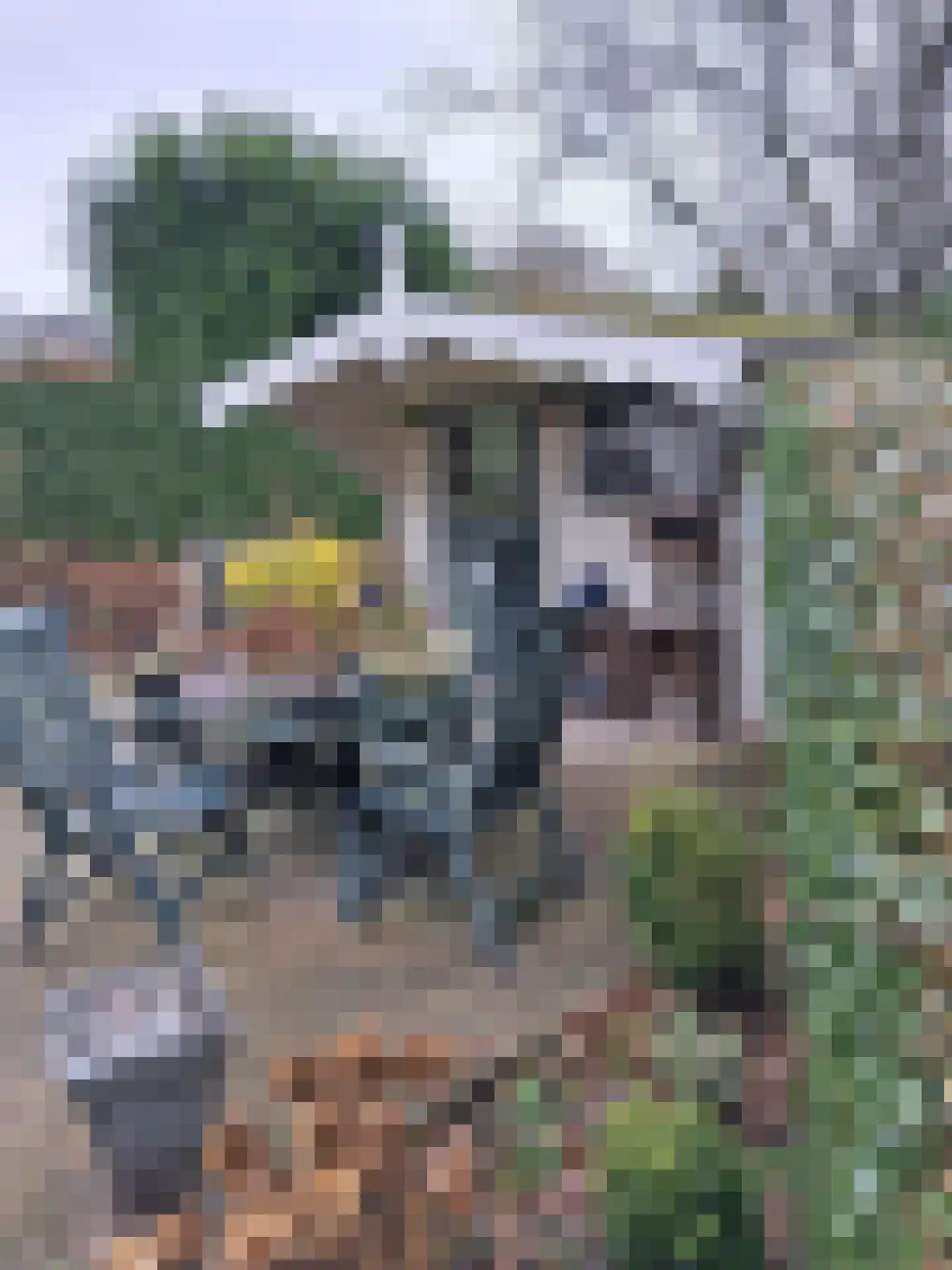 De Vennen 16 Zuidwolde thumbnail 12