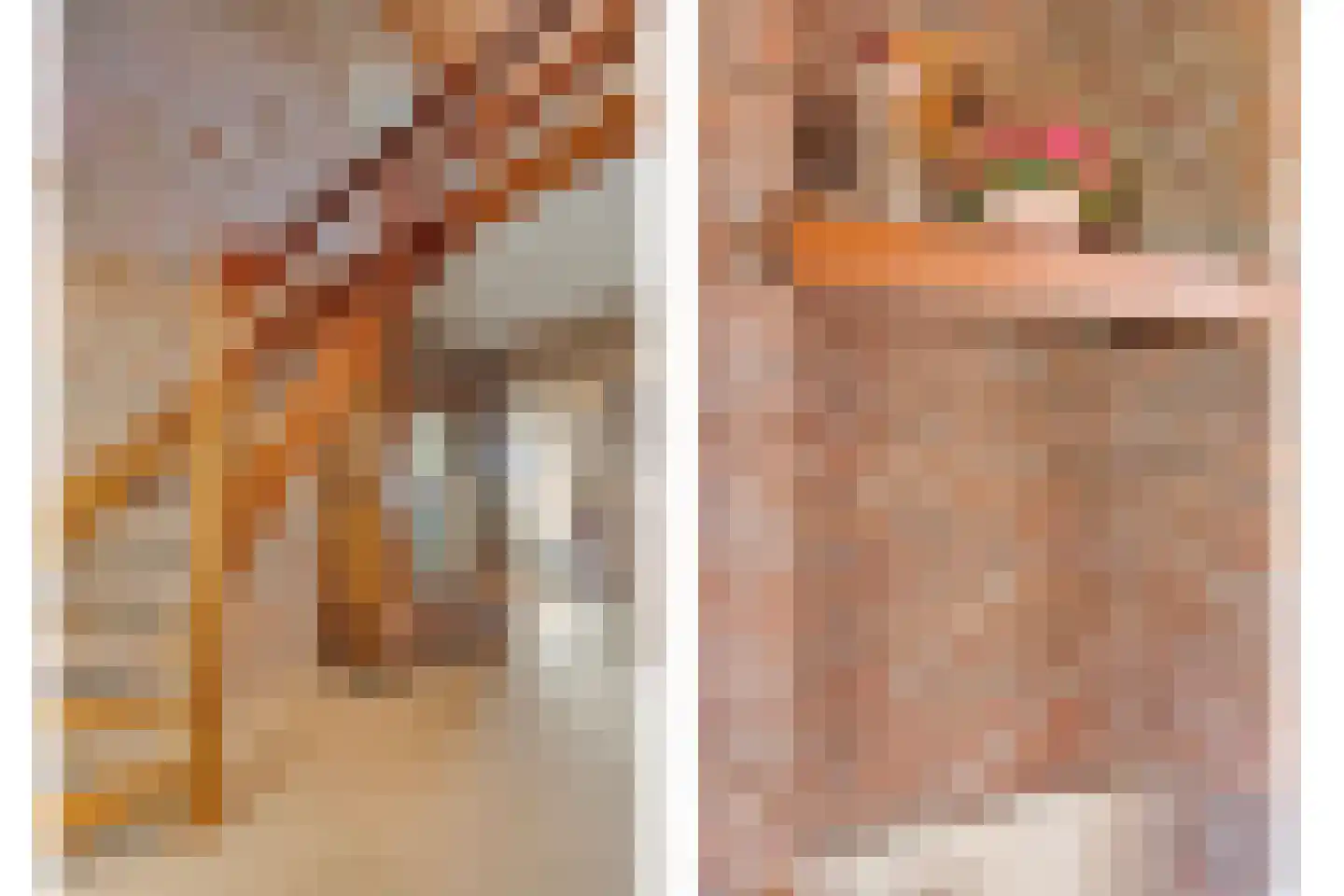 De Vennen 16 Zuidwolde thumbnail 12