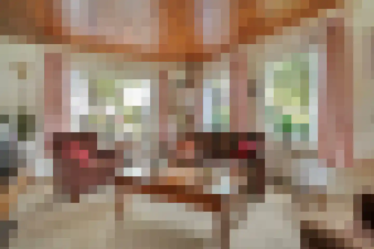 De Vennen 16 Zuidwolde thumbnail 15