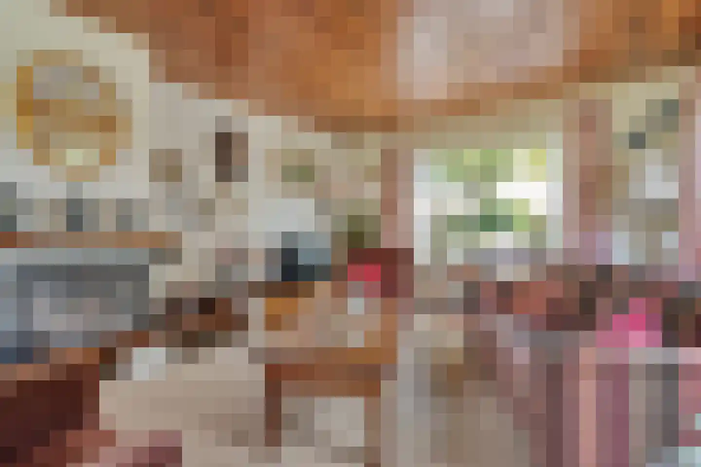 De Vennen 16 Zuidwolde thumbnail 16