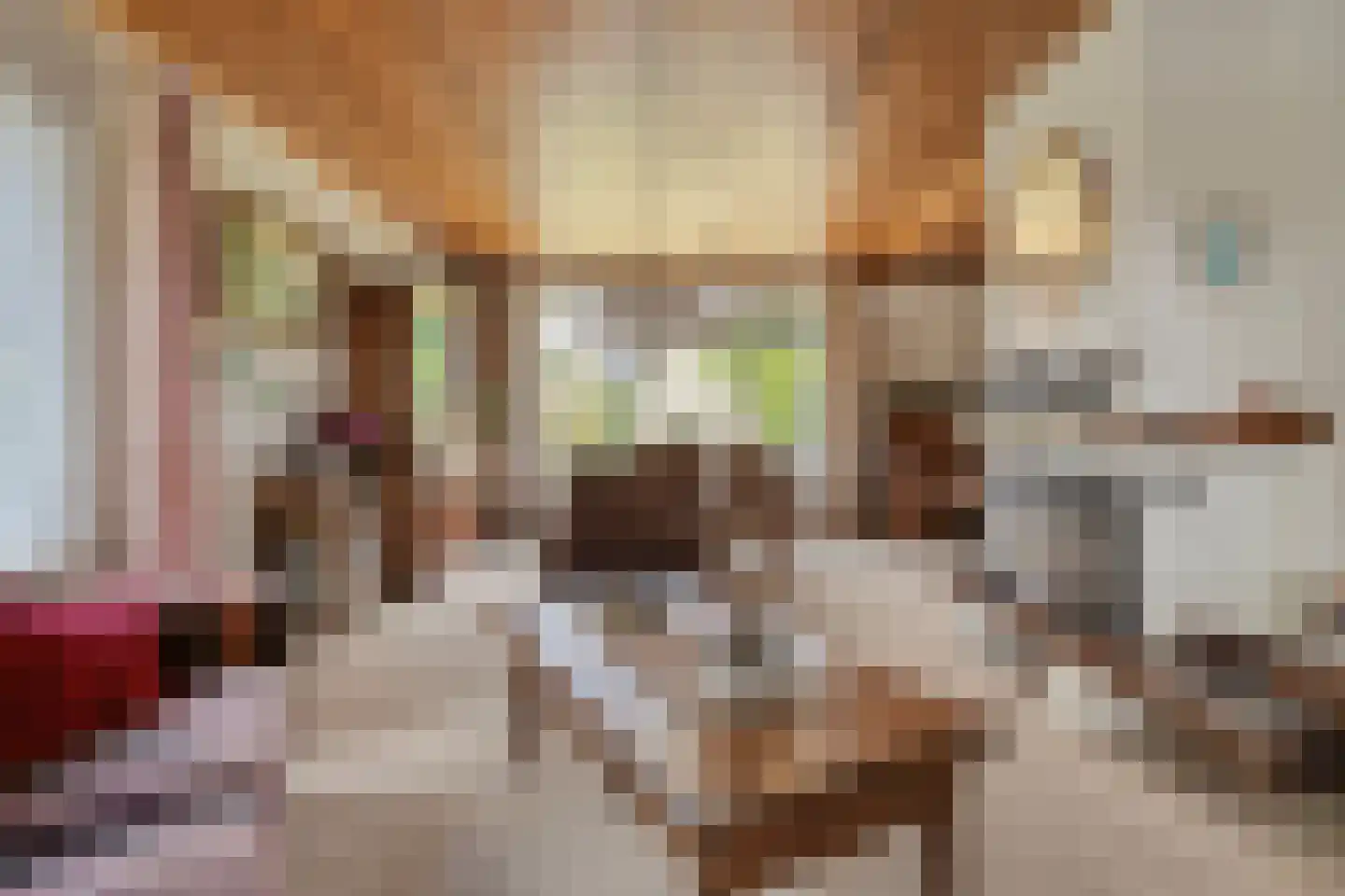 De Vennen 16 Zuidwolde thumbnail 17