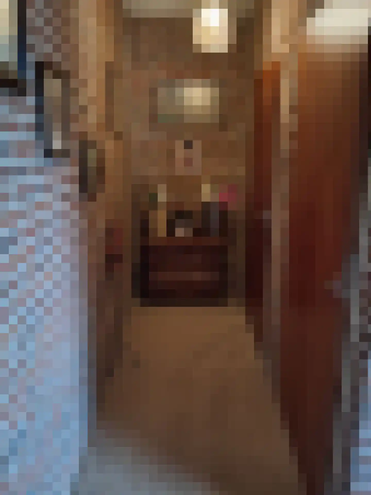 De Vennen 16 Zuidwolde thumbnail 18
