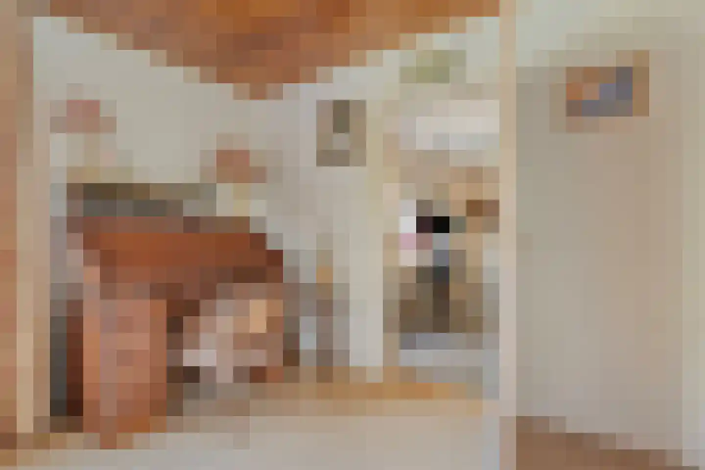 De Vennen 16 Zuidwolde thumbnail 18