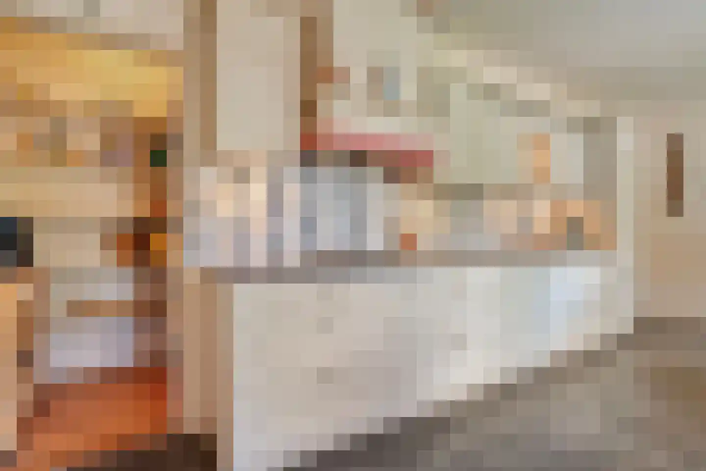De Vennen 16 Zuidwolde thumbnail 19