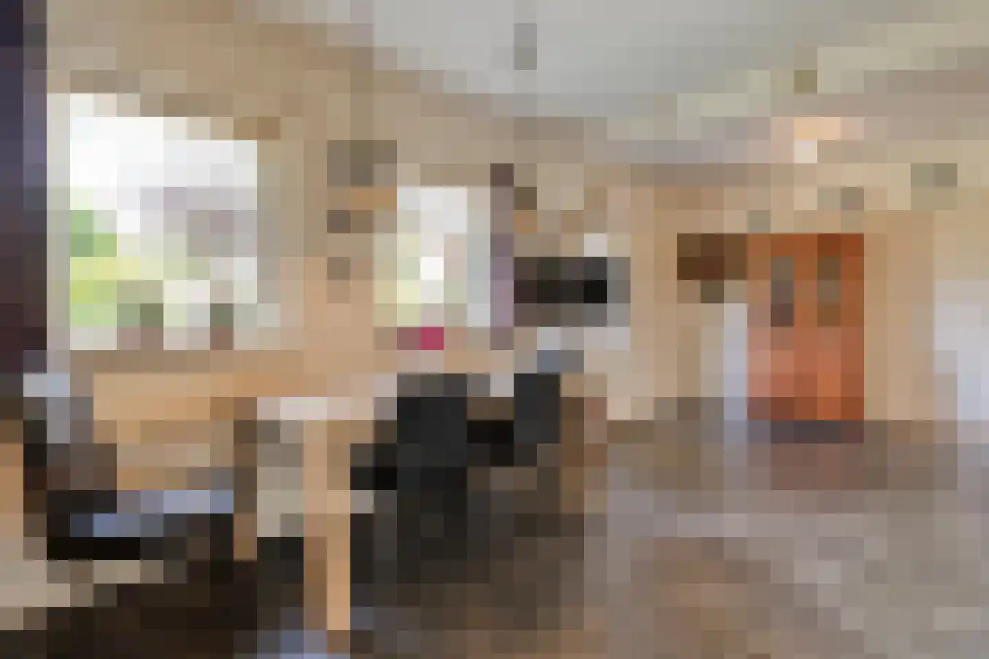 De Vennen 16 Zuidwolde thumbnail 20