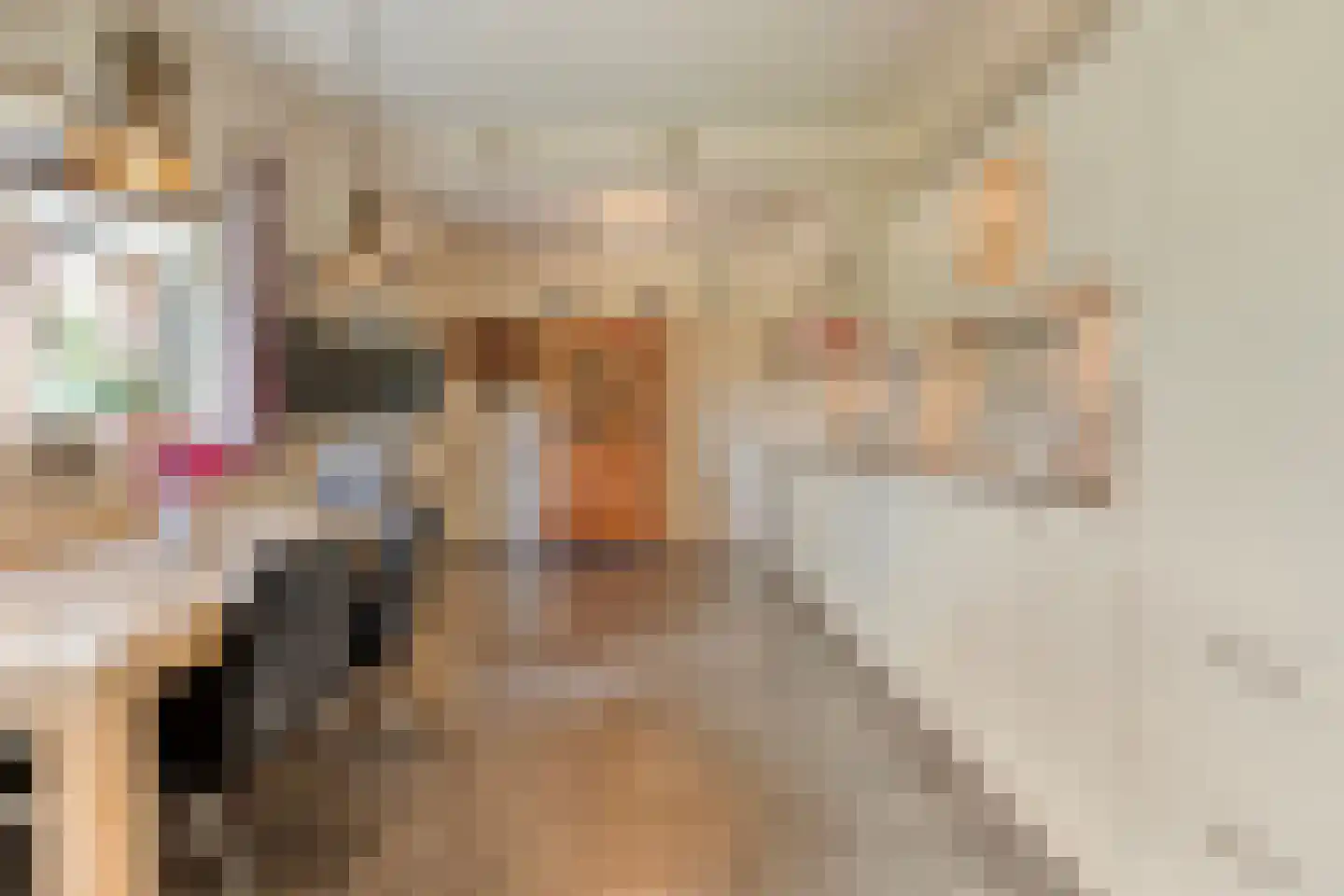 De Vennen 16 Zuidwolde thumbnail 21