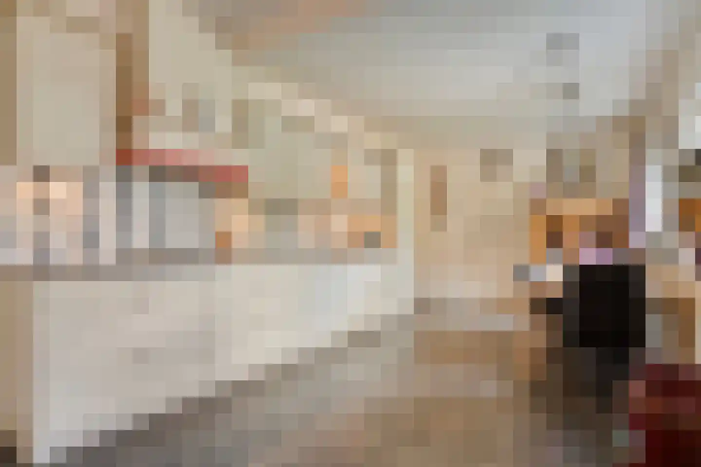 De Vennen 16 Zuidwolde thumbnail 23