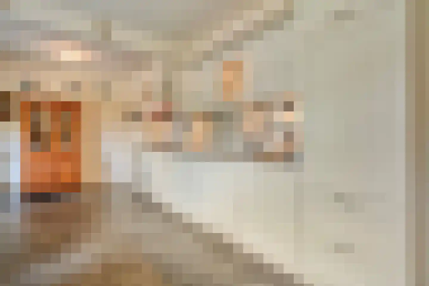 De Vennen 16 Zuidwolde thumbnail 24