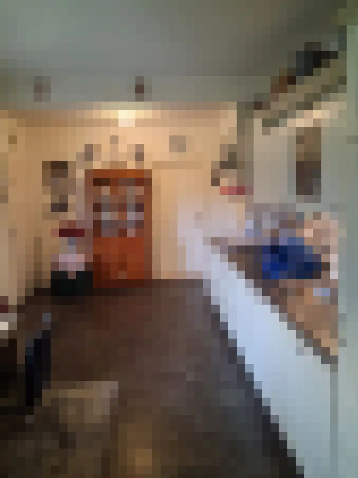 De Vennen 16 Zuidwolde thumbnail 25