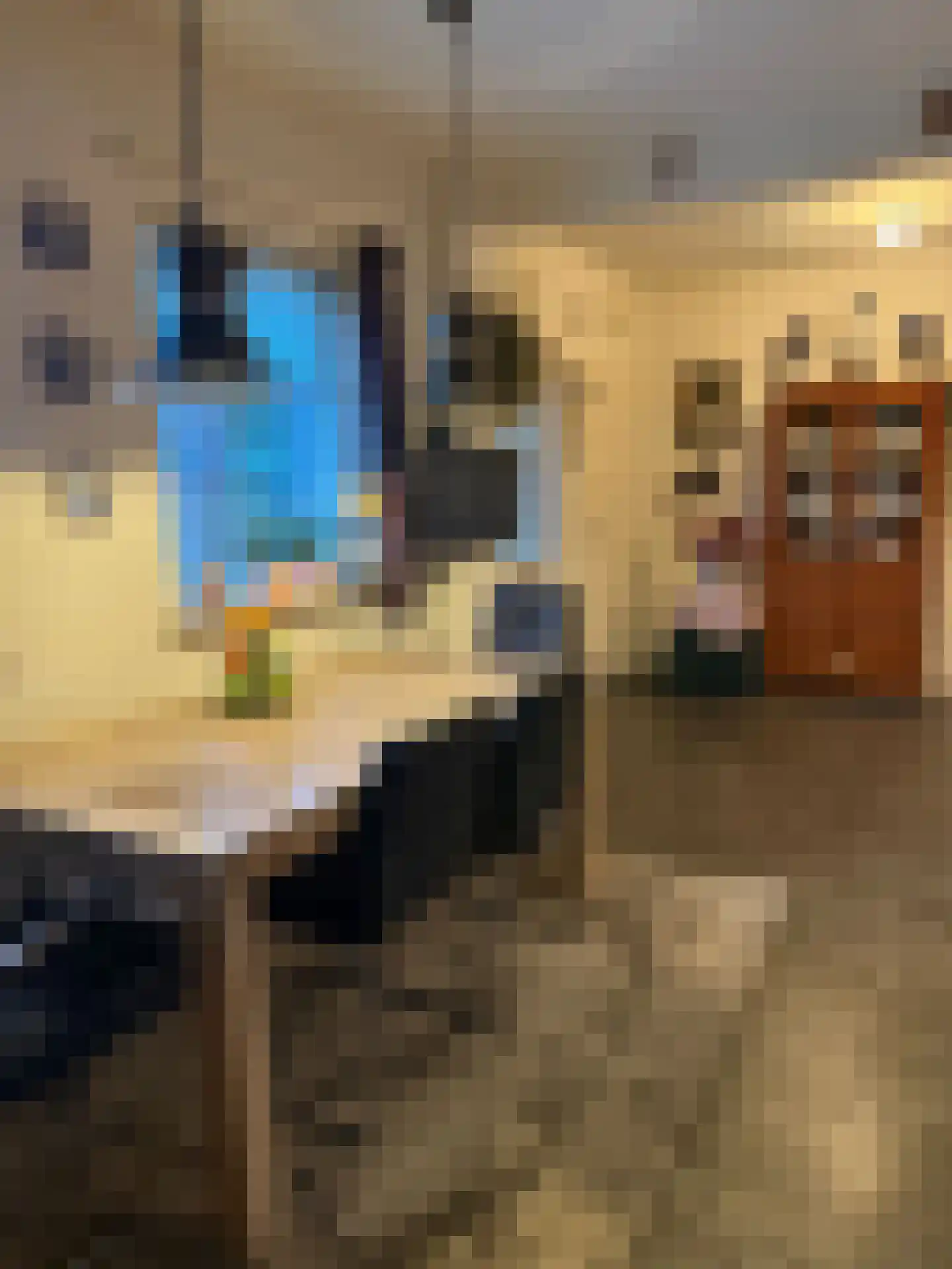 De Vennen 16 Zuidwolde thumbnail 27