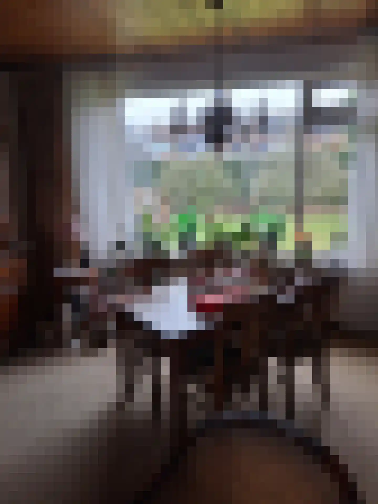 De Vennen 16 Zuidwolde thumbnail 32