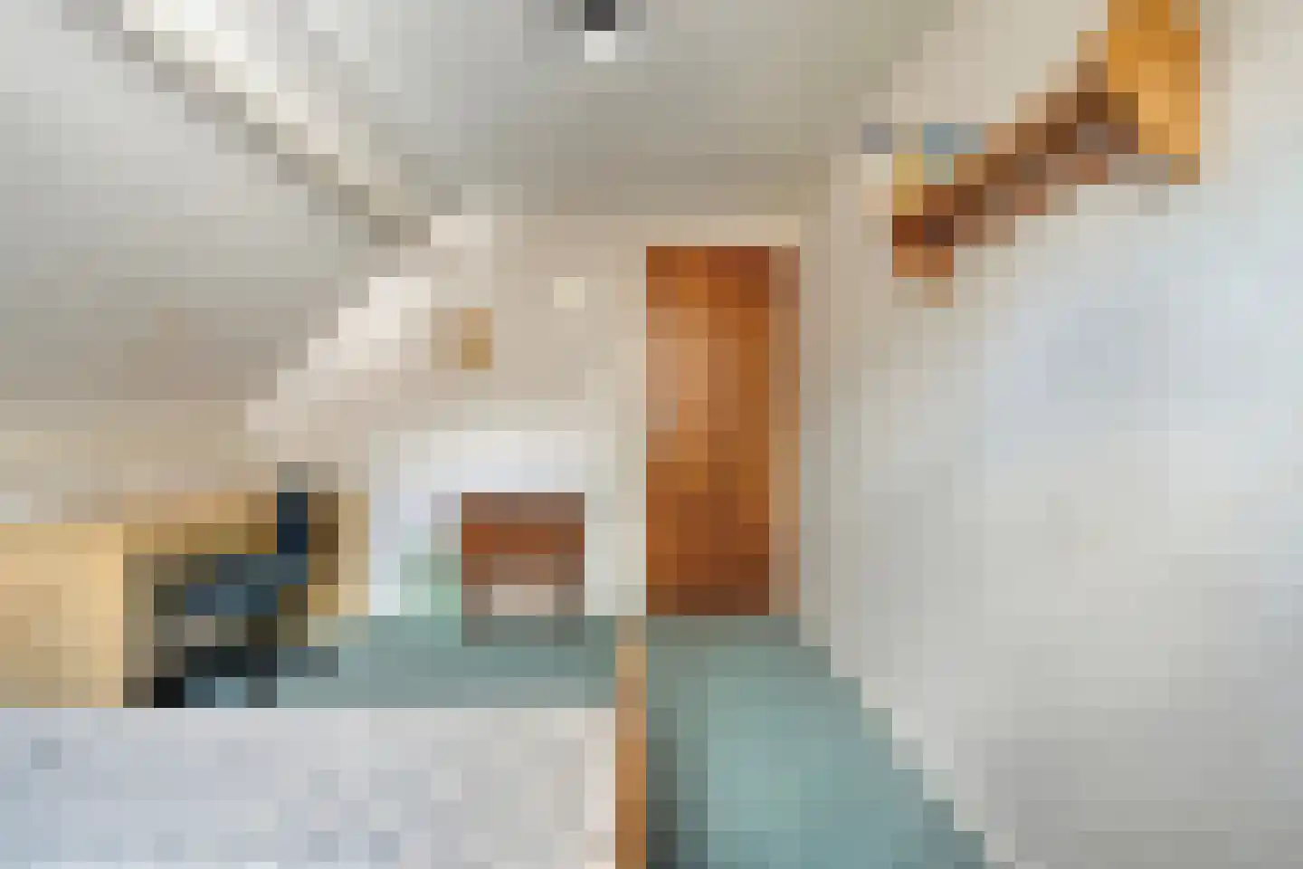 De Vennen 16 Zuidwolde thumbnail 32