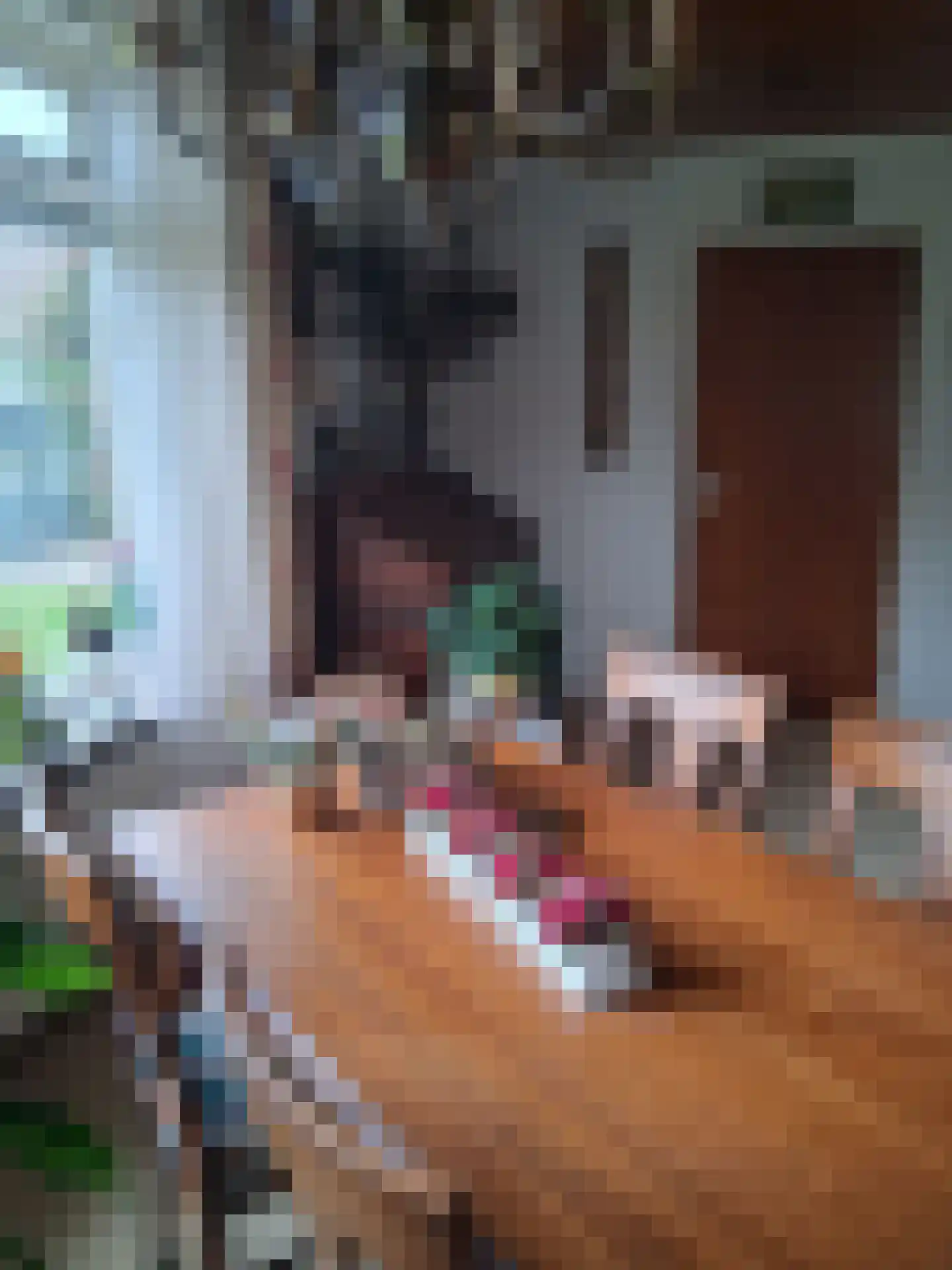 De Vennen 16 Zuidwolde thumbnail 33