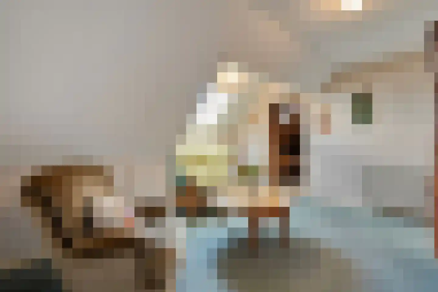 De Vennen 16 Zuidwolde thumbnail 34