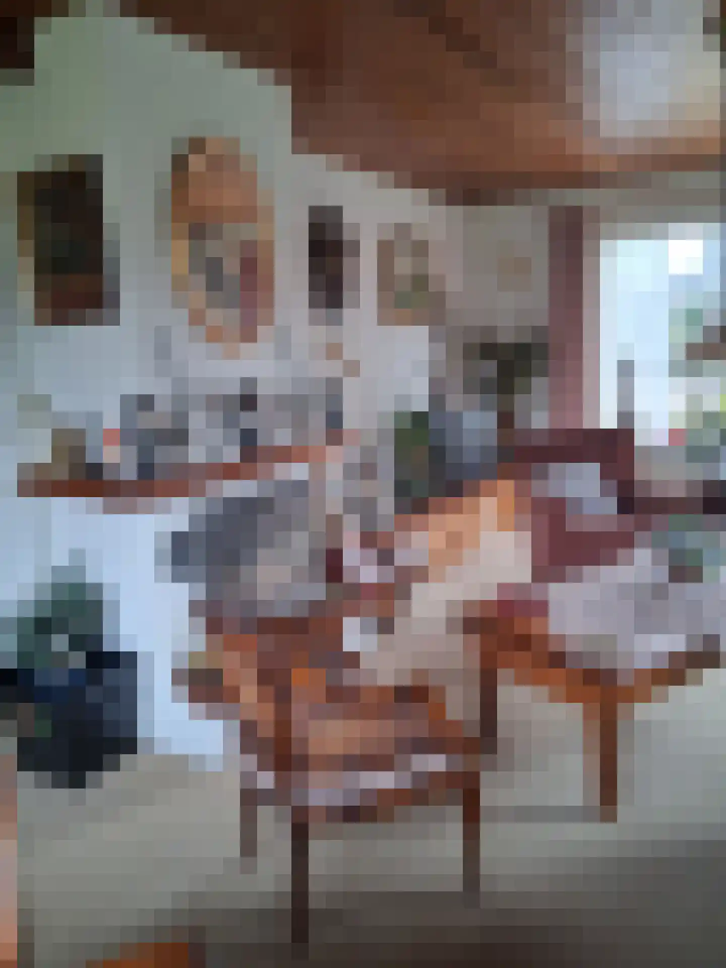 De Vennen 16 Zuidwolde thumbnail 34
