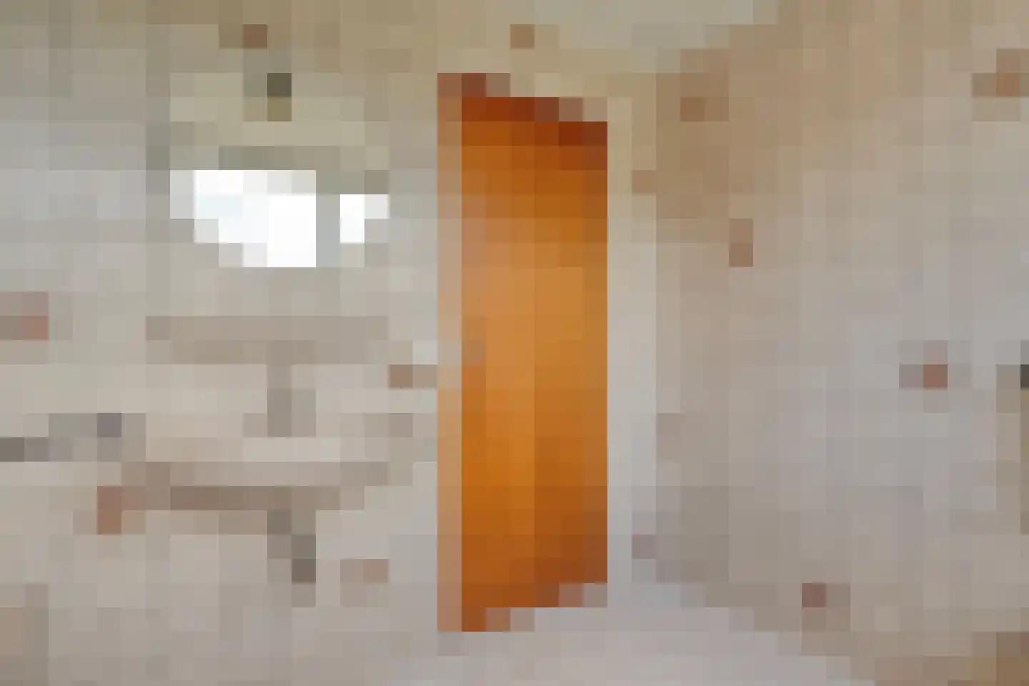 De Vennen 16 Zuidwolde thumbnail 39