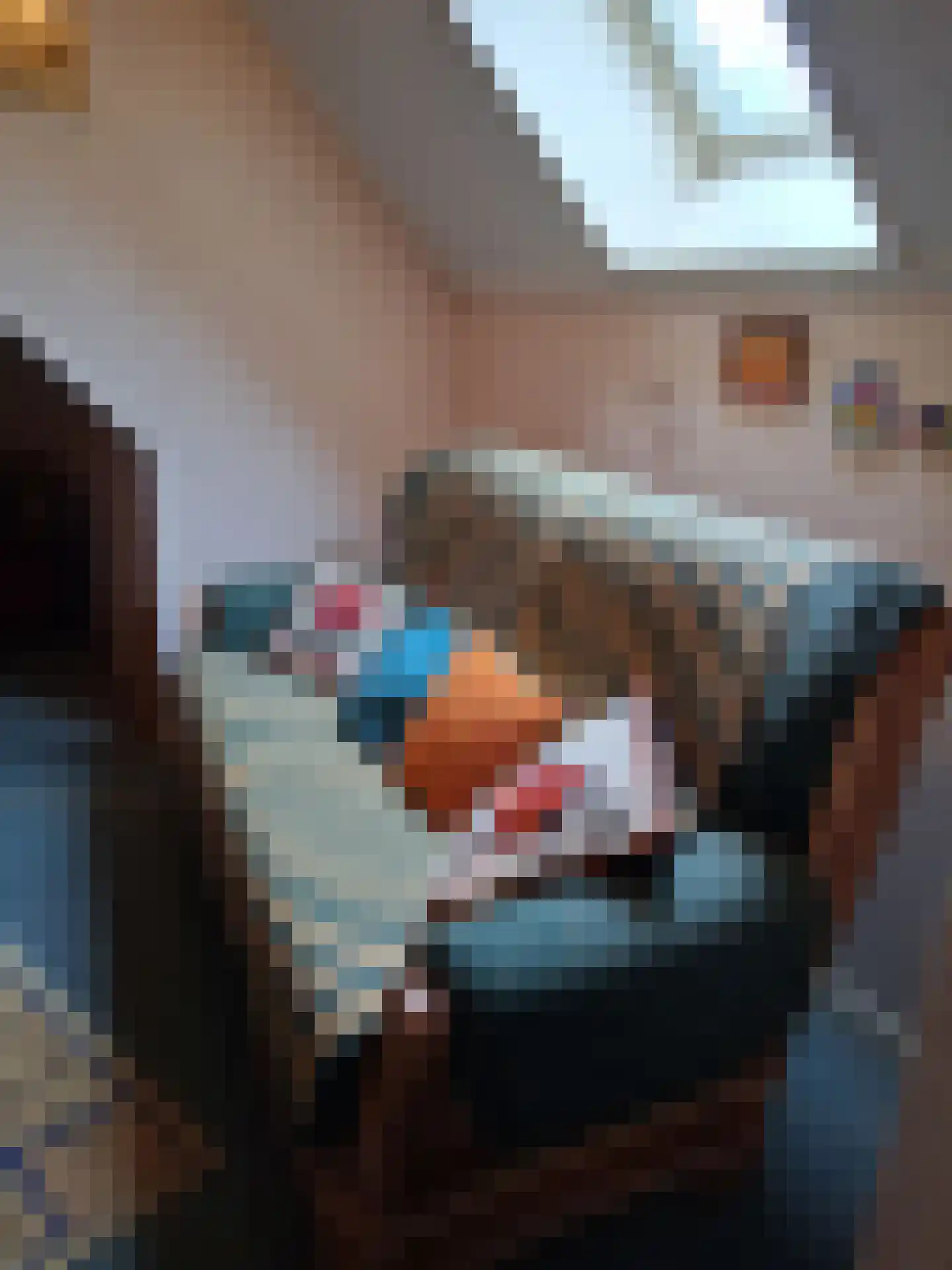 De Vennen 16 Zuidwolde thumbnail 39
