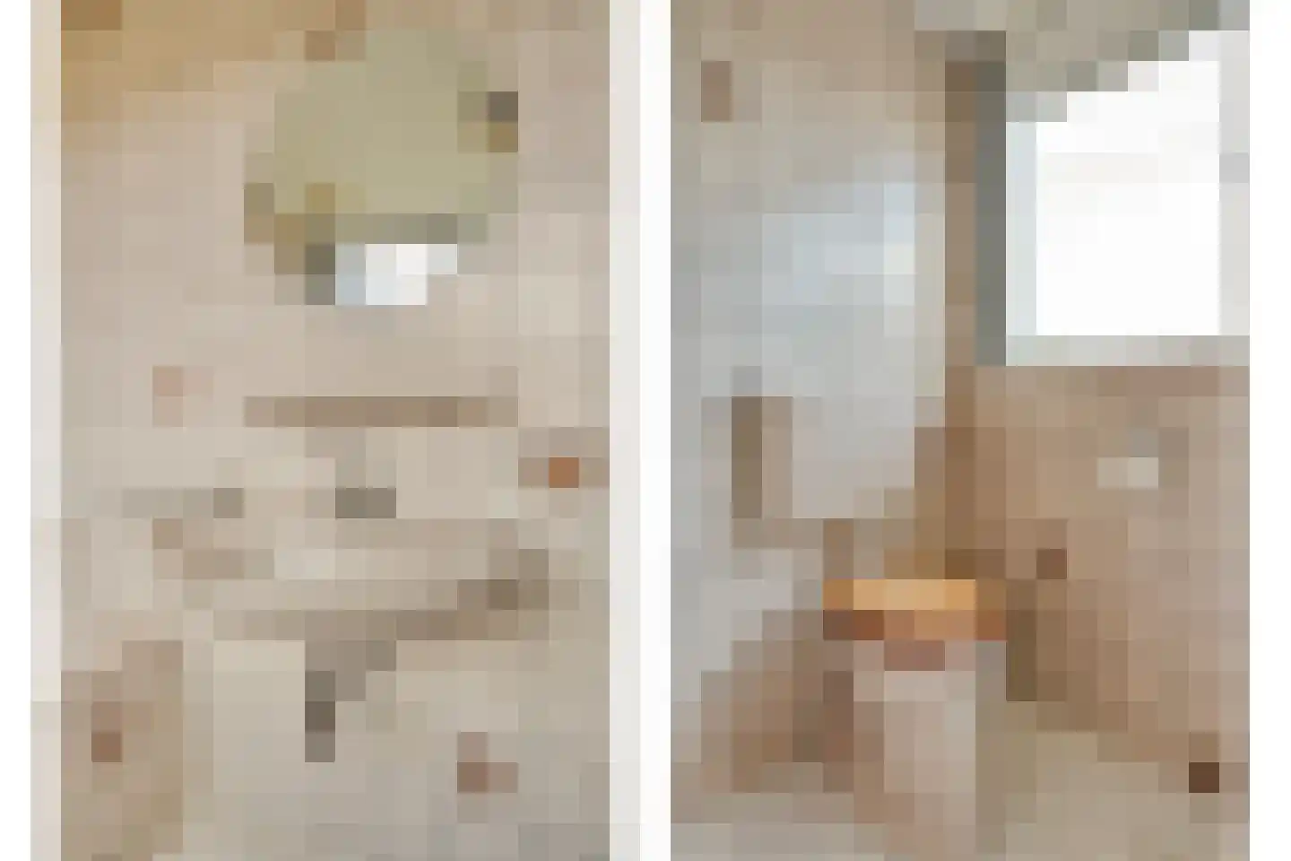 De Vennen 16 Zuidwolde thumbnail 40