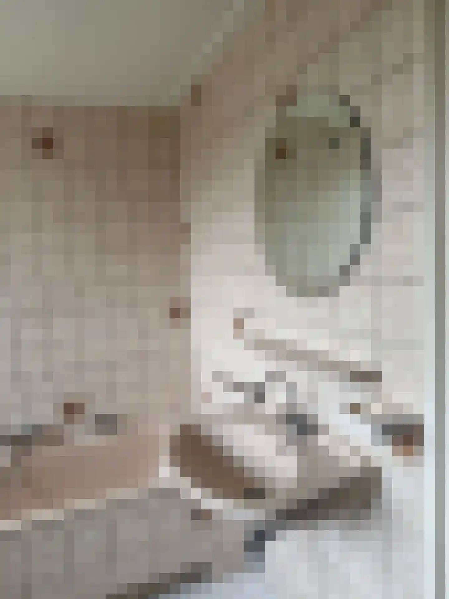 De Vennen 16 Zuidwolde thumbnail 43