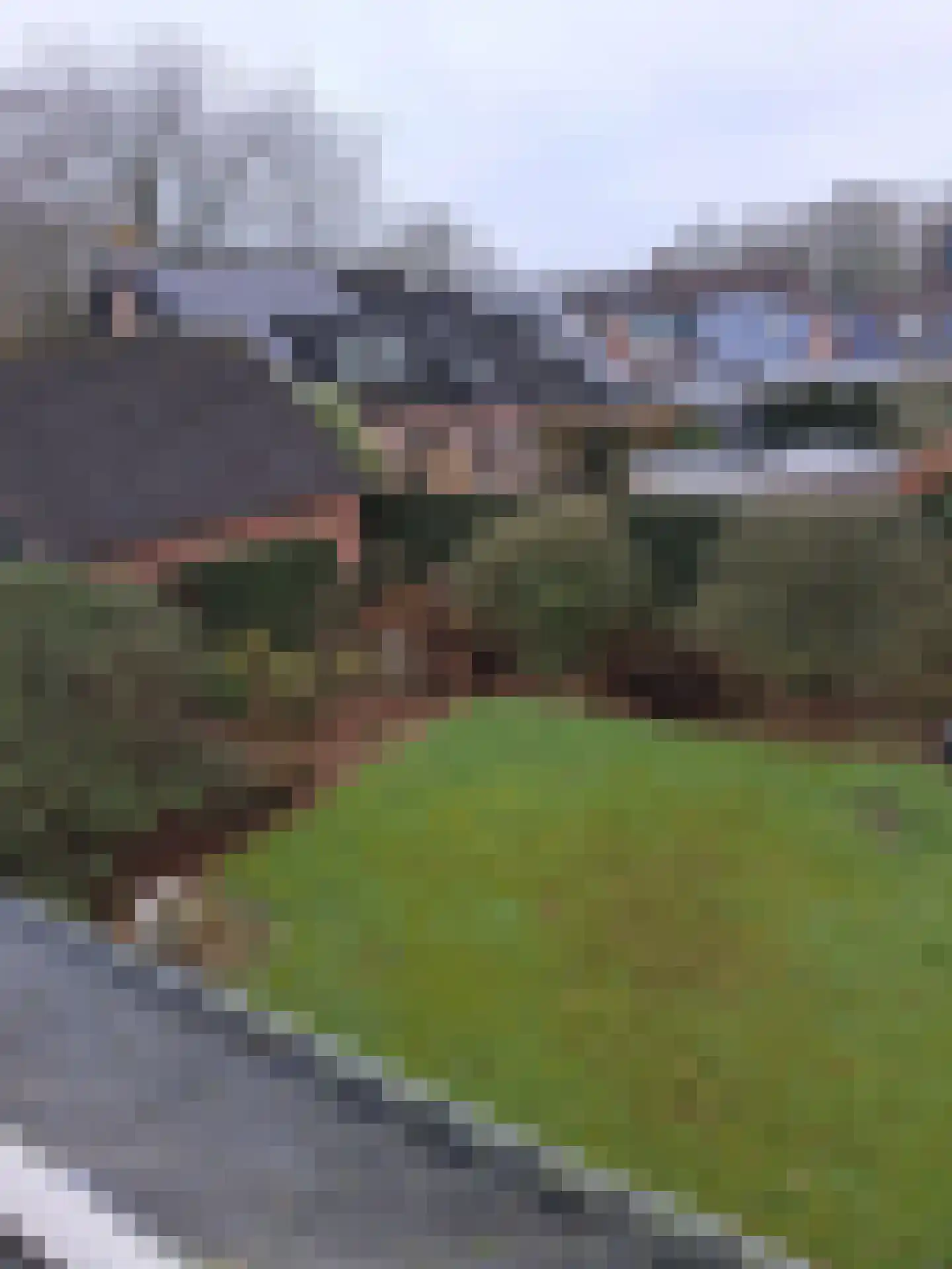 De Vennen 16 Zuidwolde thumbnail 44