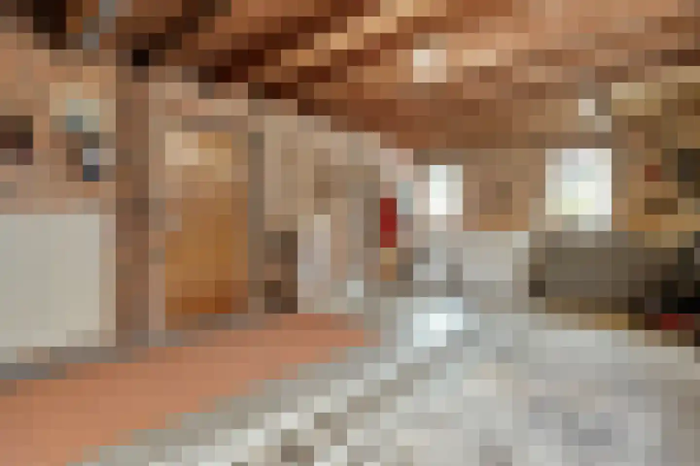 De Vennen 16 Zuidwolde thumbnail 44