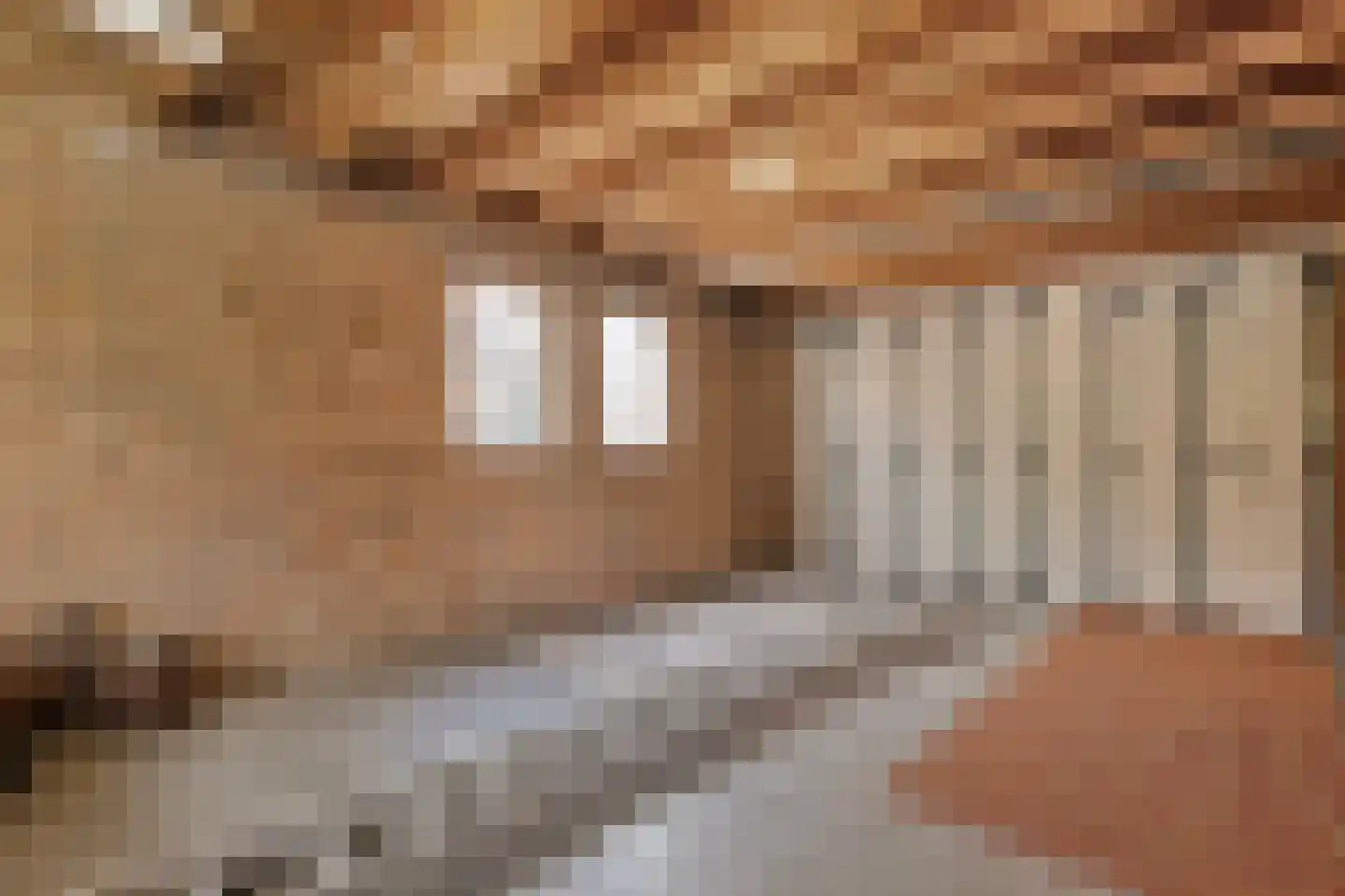 De Vennen 16 Zuidwolde thumbnail 45