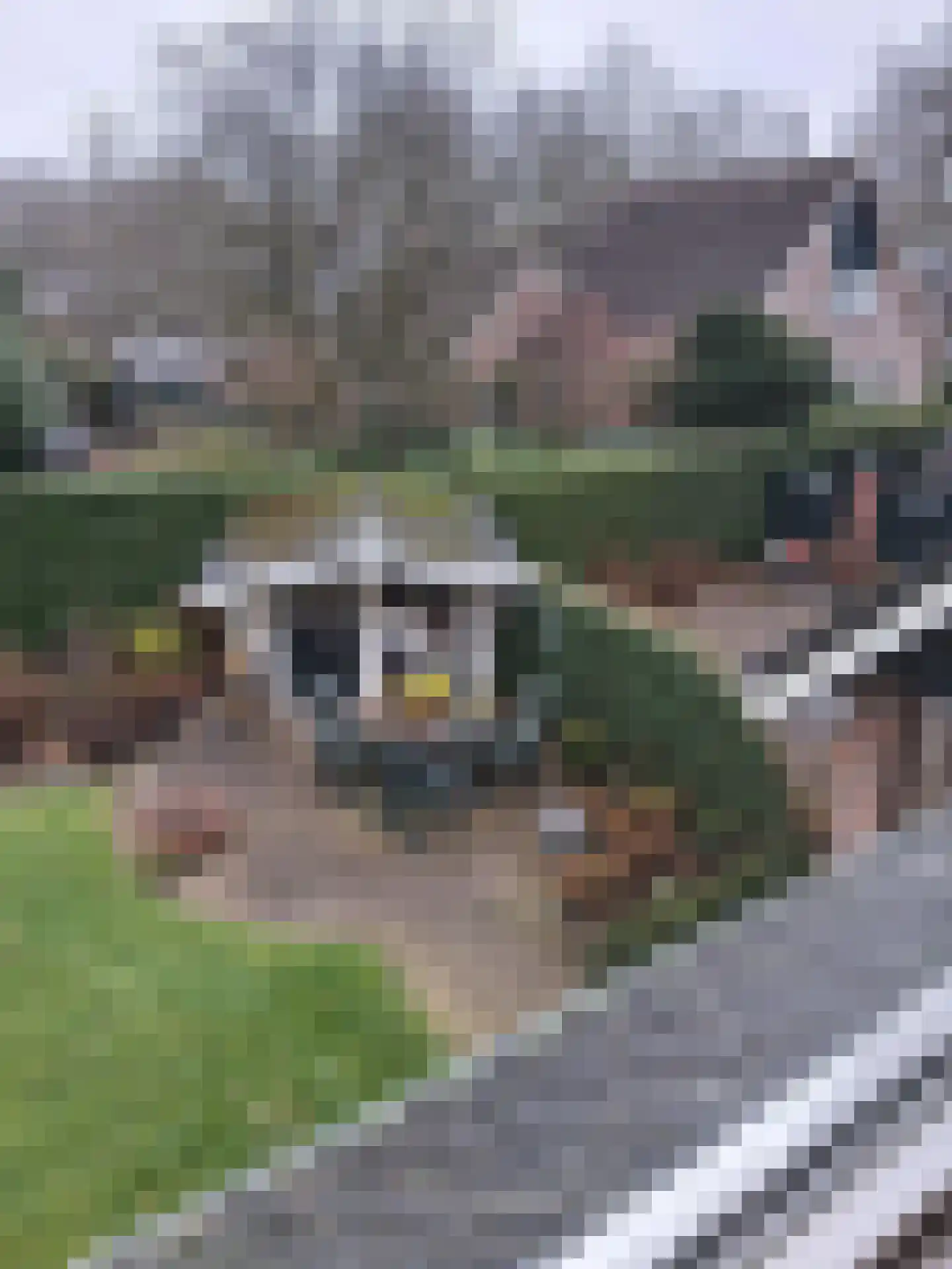 De Vennen 16 Zuidwolde thumbnail 45