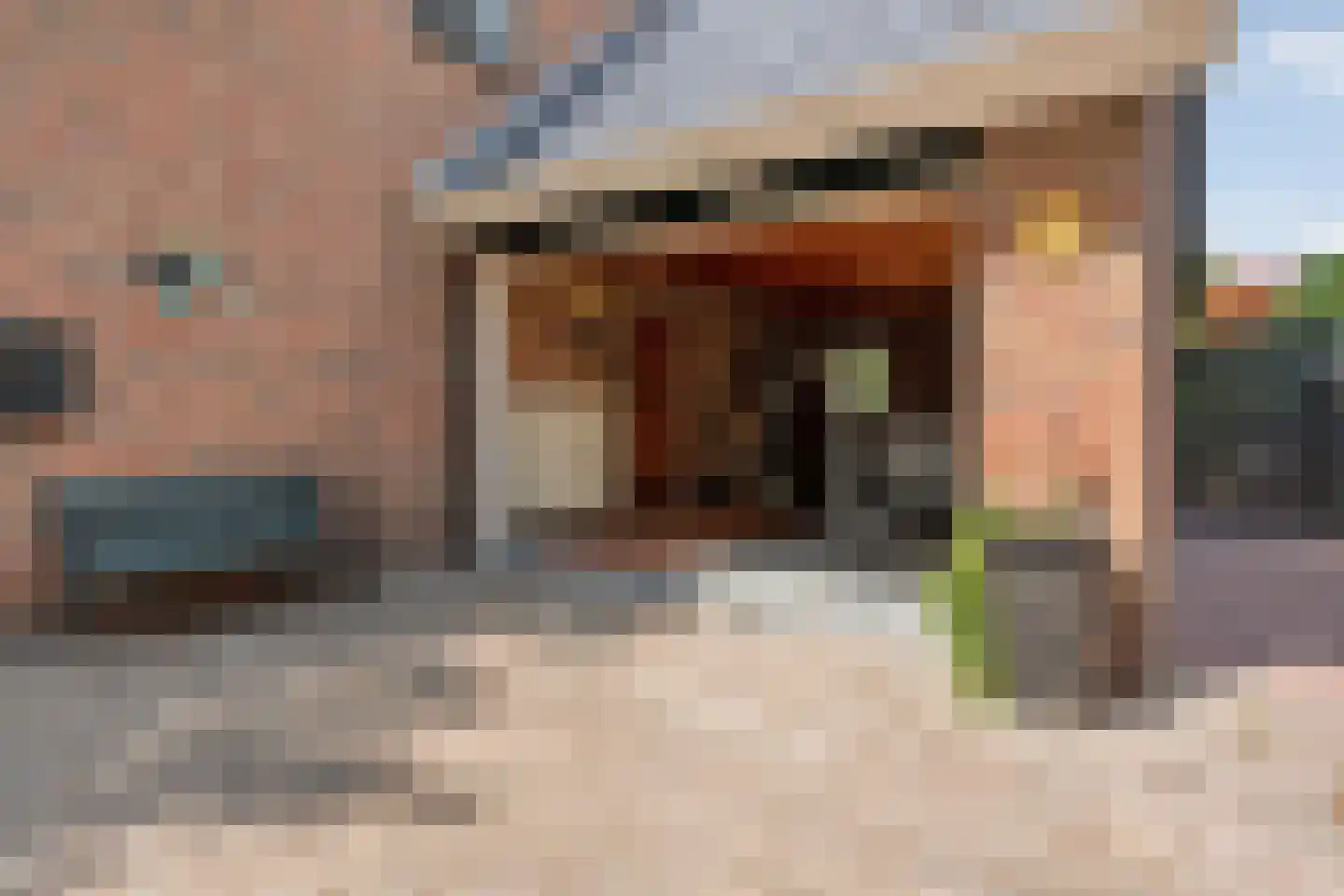 De Vennen 16 Zuidwolde thumbnail 46