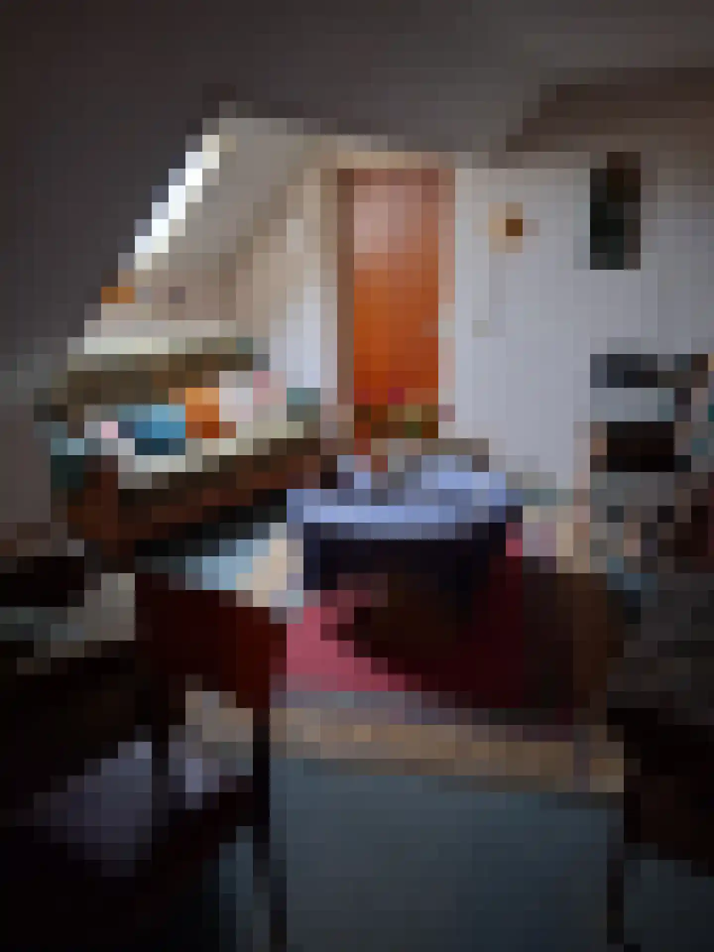 De Vennen 16 Zuidwolde thumbnail 46