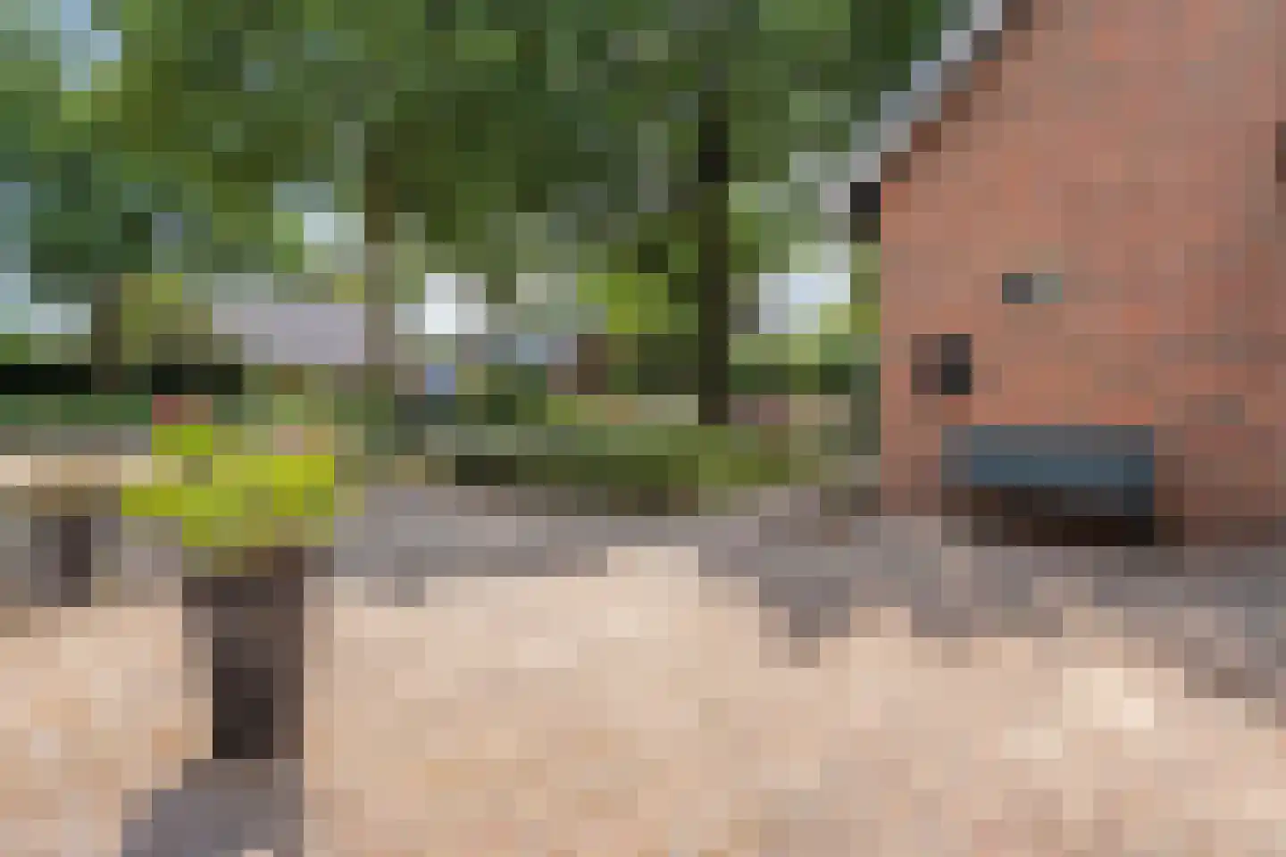 De Vennen 16 Zuidwolde thumbnail 50