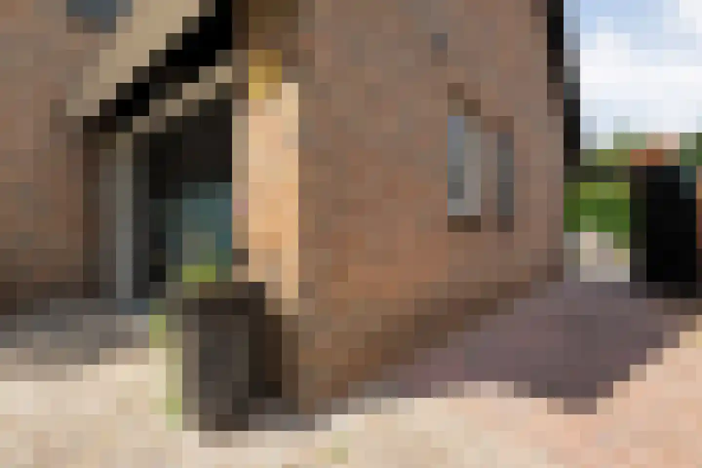 De Vennen 16 Zuidwolde thumbnail 51