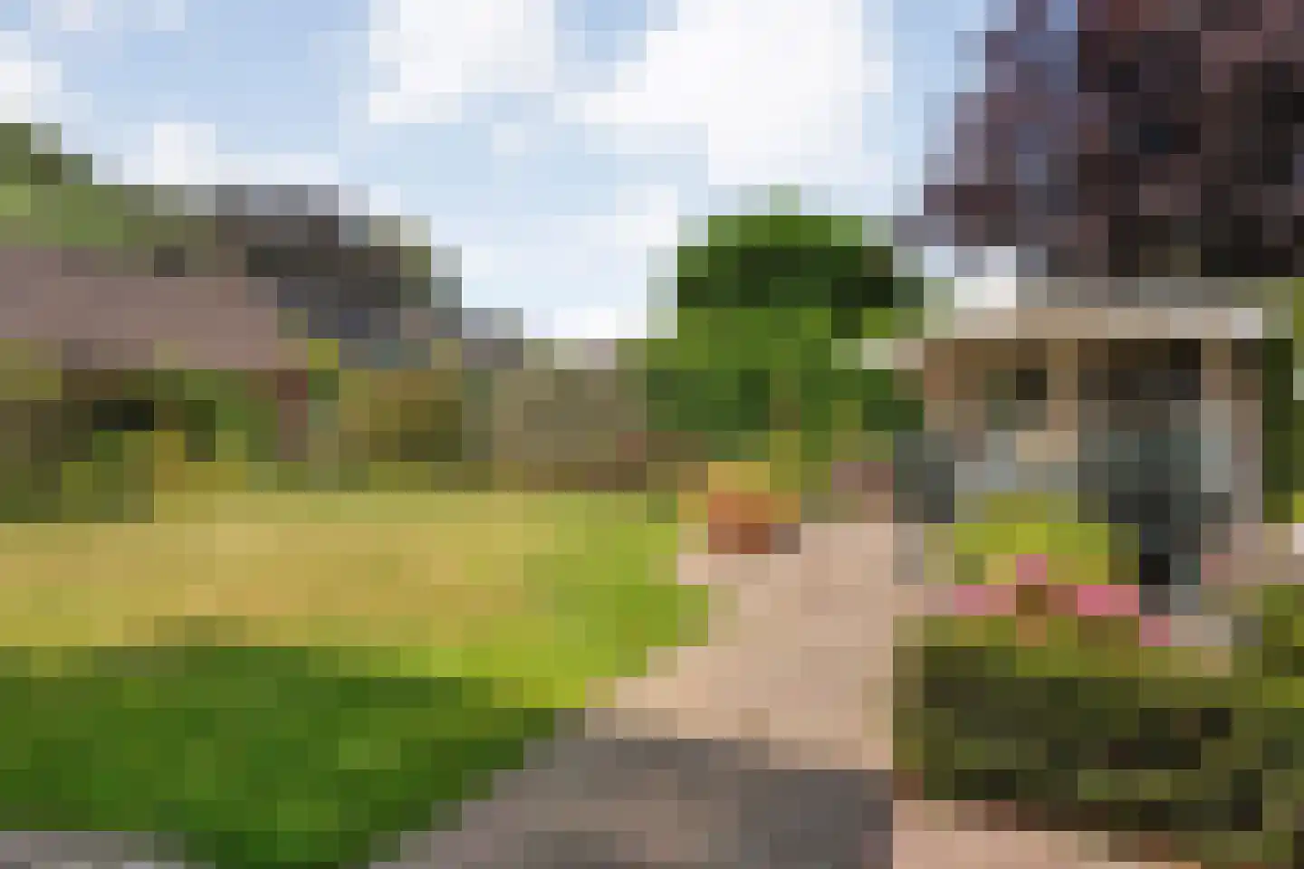 De Vennen 16 Zuidwolde thumbnail 52